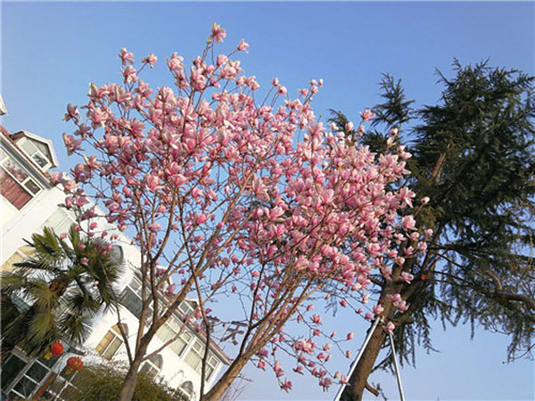 天久實業(yè)